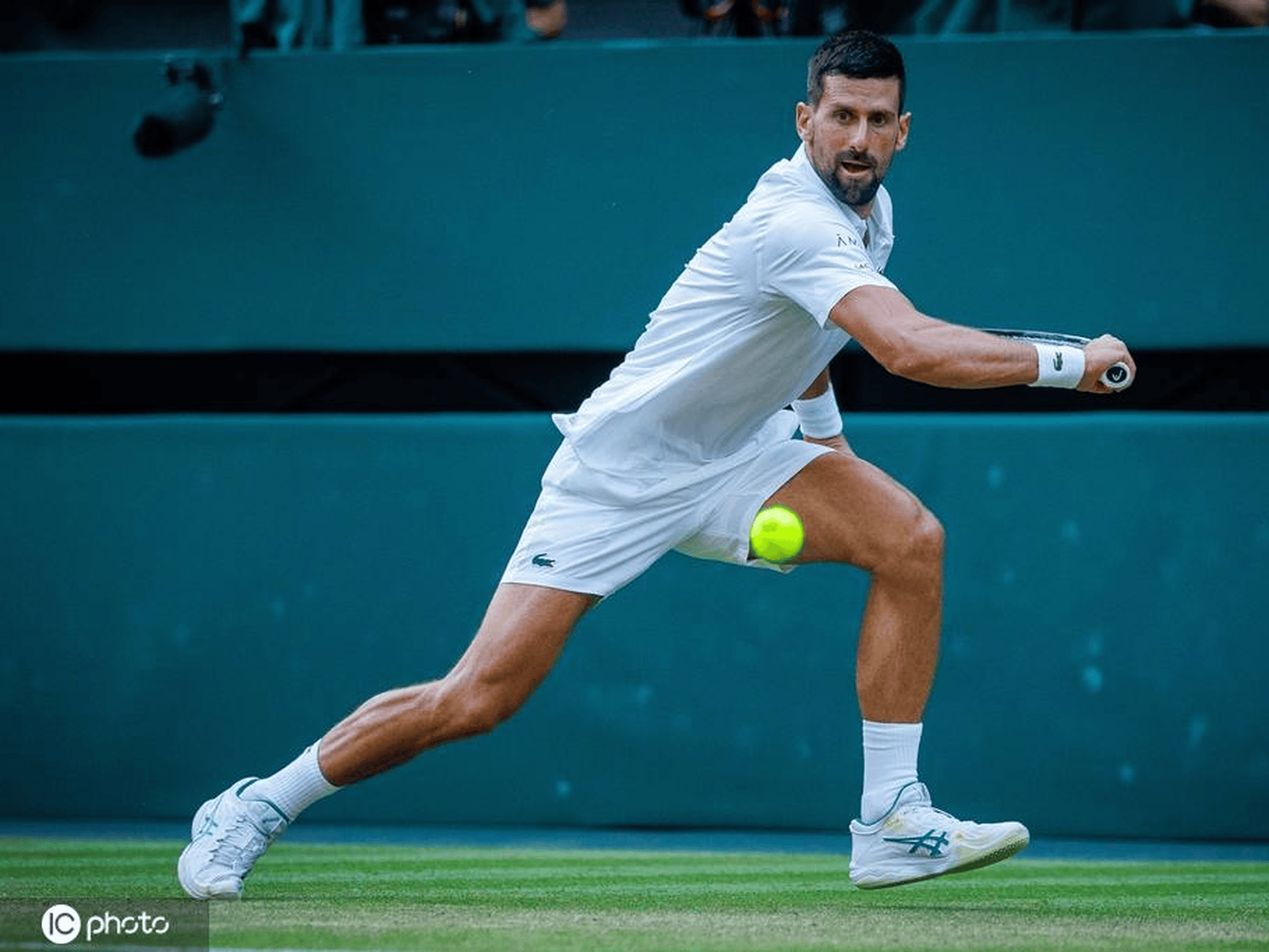 壹号-德约科维奇爆冷击败美国队,出色防守引爆全场!的简单介绍